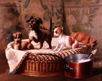 At Play by Vincent de Vos